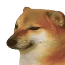Bruh