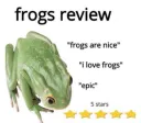 frog
