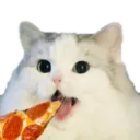 catpizza