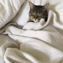 KitSleep
