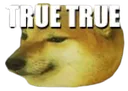 true