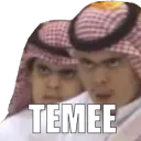 TEMEE