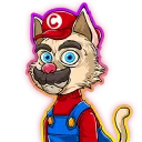 mario cat