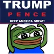 pepe trump sign