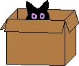 kittykatbox