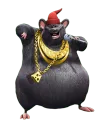 rat