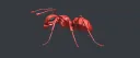 ANTS1