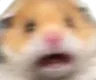 hamster_aAaAAAAA