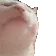 catJAM