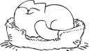 catnap