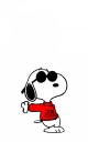 Joe cool