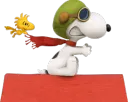 Flying Ace snoopy