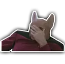 Facepalm