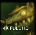 4K FULL HD
