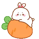 CarrotBunny