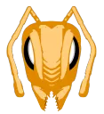 antscoin
