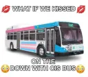down with cis bus