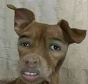 tf