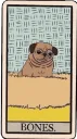 bones