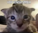 You Kinda Smell