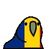 Romanian Parrot