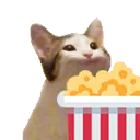 Cat POPcorn