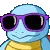 Vibing Squirtle