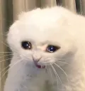 bruhb