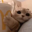 cat mcds .gg/luv