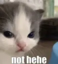 not hehe