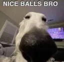 Nice Balls Bro