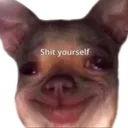 shturself