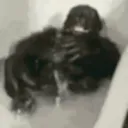 Monke Seizure