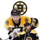 Bruins