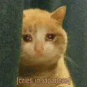 cries-in-japanese
