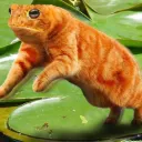 Cat Frog