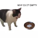 why empty
