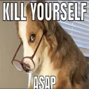 Kill Yourself ASAP
