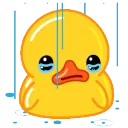 cry