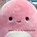 bestie i'm at my fucking limit