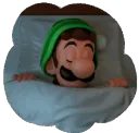 Luigi Sleep