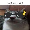 cool cat