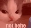 not hehe