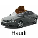 haudi