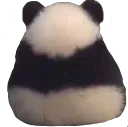 AngyPanda