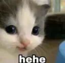 hehe