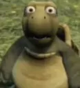 Ayo