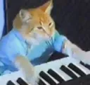 keyboard cat