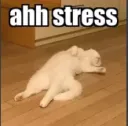 stress