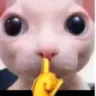 shush